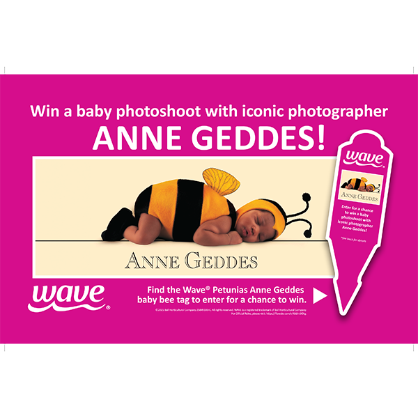 Image for anne geddes bench card