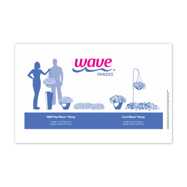 Image for Wave pansies habits