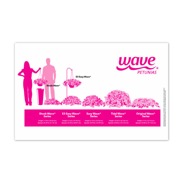 Image for Wave petunias habits