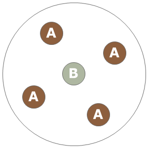 Eight inch planting diagram