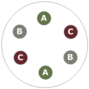 Eight inch planting diagram