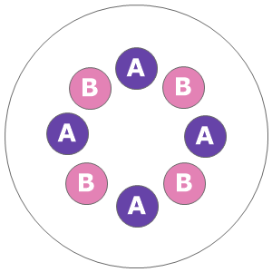 Eight inch planting diagram