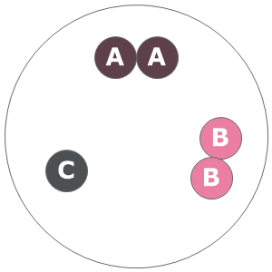 Eight inch planting diagram