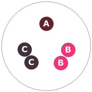 Twelve inch planting diagram