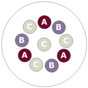 Twelve inch planting diagram