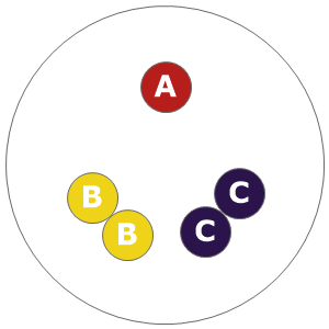 Twelve inch planting diagram