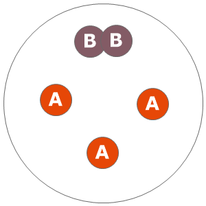 Twelve inch planting diagram