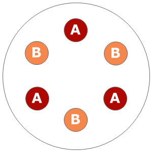 Twelve inch planting diagram