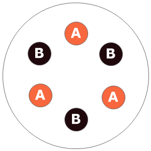 Twelve inch planting diagram