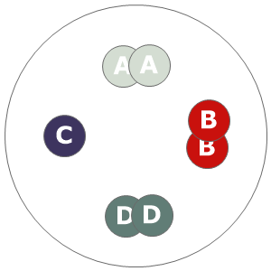 Twelve inch planting diagram