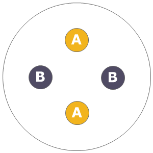 Twelve inch planting diagram