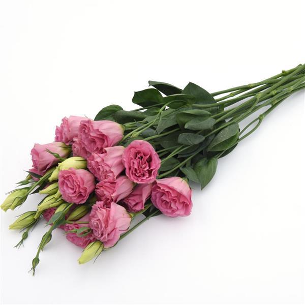 ABC™ 3 Rose Lisianthus Grower Bunch