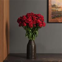 Sweet™ Cherry Dianthus Container