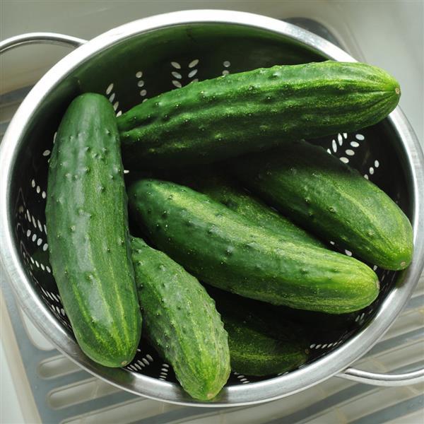 Cucumber Patio Snacker Basket