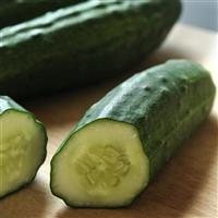 Patio Snacker Cucumber Bloom