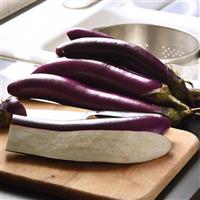 Violet Delite Eggplant Container
