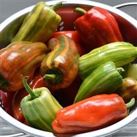 Candy Cane Red Pepper Container