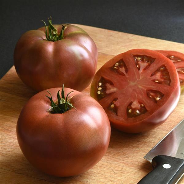 Tomato DarkStar Container