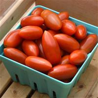 Marzito Tomato Container