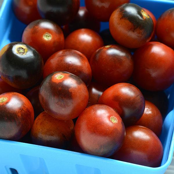 Tomato Midnight Snack Container