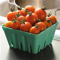 Orange Zinger Tomato Container