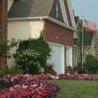 Easy Wave® The Flag Mixture Spreading Petunia Landscape