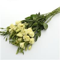 Flare Yellow Lisianthus Grower Bunch