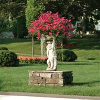 Tidal Wave® Cherry Spreading Petunia Commercial Landscape 4
