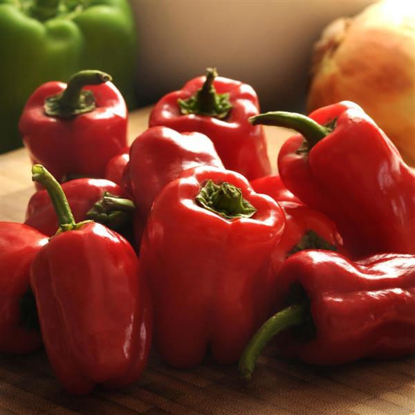 Pepper Cajun Belle Bloom