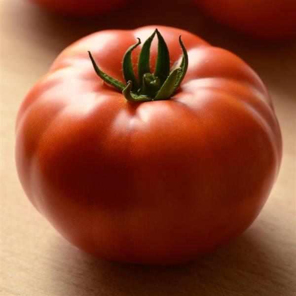 Tomato Heirloom Marriage™ Genuwine Bloom