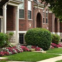 Beacon® Portland Mixture Impatiens Commercial Landscape 1