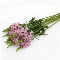 Potomac™ Lavender Snapdragon Grower Bunch