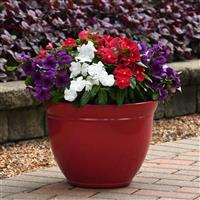 Tattoo™ American Pie Mixture Vinca Container