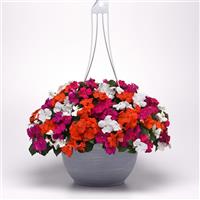 Beacon® Lindau Mixture Improved Impatiens Basket