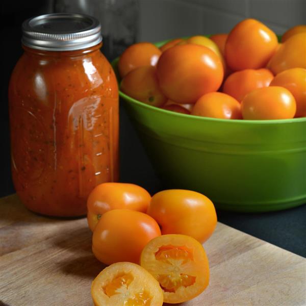 Tomato Sunrise Sauce Container