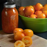 Sunrise Sauce Tomato Container