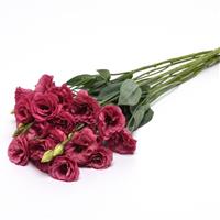 ABC™ 2 Rose Improved Lisianthus Grower Bunch