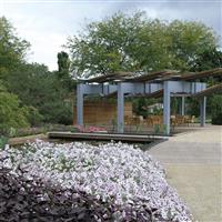 Tidal Wave® Silver Spreading Petunia Commercial Landscape 2