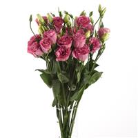 ABC™ 3 Rose Lisianthus Mono Vase, White Background